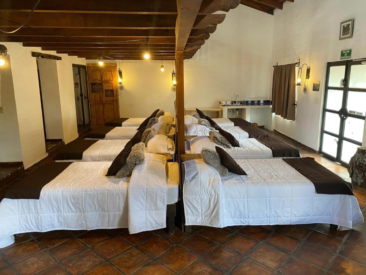 Echological Hotel, Restaurante & Spa Lagos de Moreno Extérieur photo